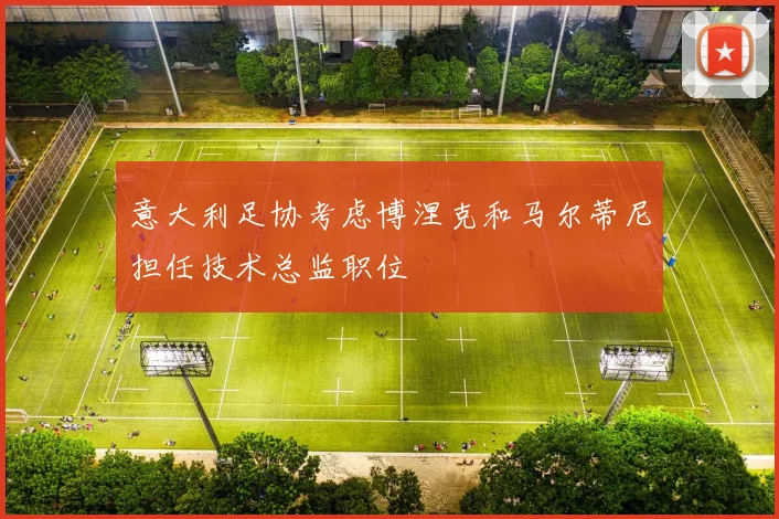 意大利足协考虑博涅克和马尔蒂尼担任技术总监职位
