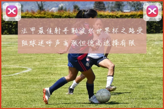 法甲最佳射手勒波尔世界杯之路受阻球迷呼声高涨但德尚选择有限