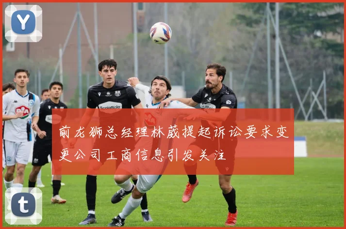 前龙狮总经理林葳提起诉讼要求变更公司工商信息引发关注